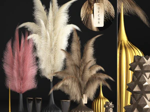 decor with dry flowers phragmites 3D Model