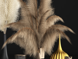 decor with dry flowers phragmites Modello 3D