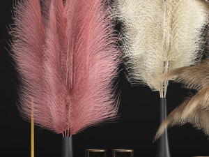 decor with dry flowers phragmites Modello 3D