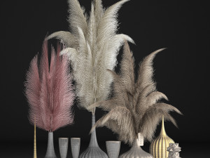 decor with dry flowers phragmites Modello 3D