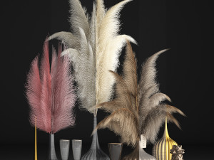decor with dry flowers phragmites Modello 3D