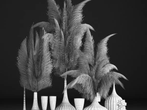 decor with dry flowers phragmites 3D Model