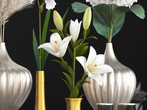 collection of flower bouquets Model 3D