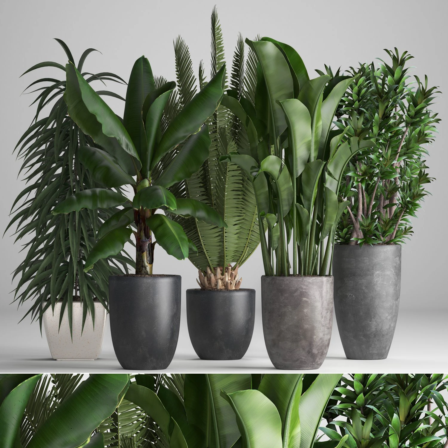 collection of ornamental plants in pots 3D Model .c4d .max .obj .3ds .fbx .stl .blend 