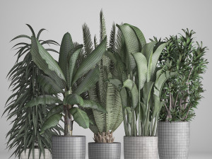 collection of ornamental plants in pots 3D Model