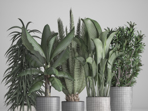 collection of ornamental plants in pots 3D Model