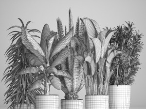 collection of ornamental plants in pots 3D Model