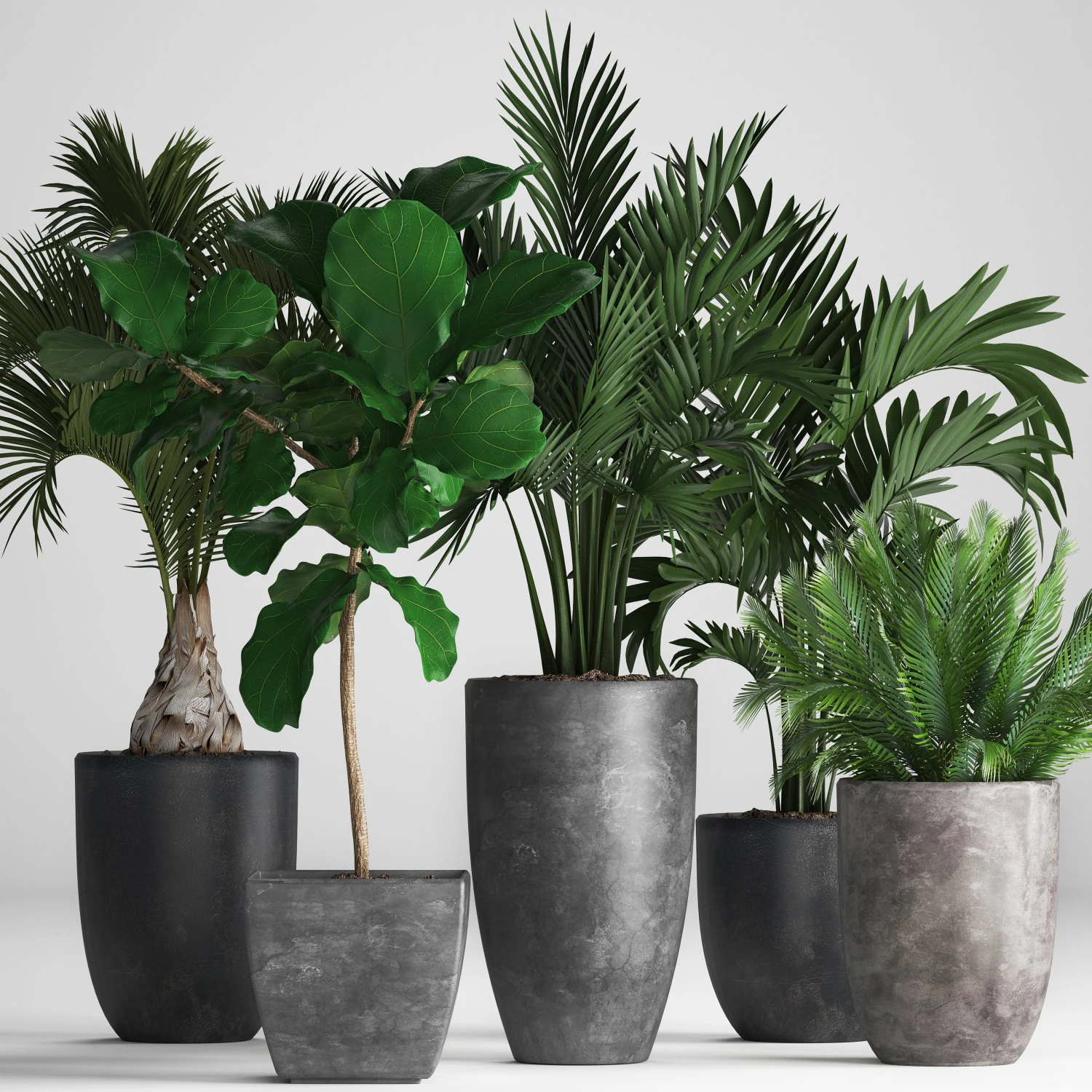 collection exotic plants 3D Model .c4d .max .obj .3ds .fbx .stl .blend