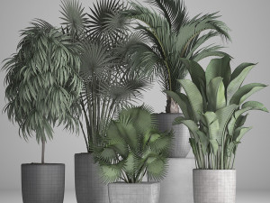 collection of exotic plants in pots Modello 3D