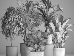 collection of exotic plants in pots 3D Model
