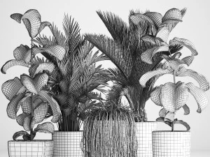 collection exotic plants 3D Model