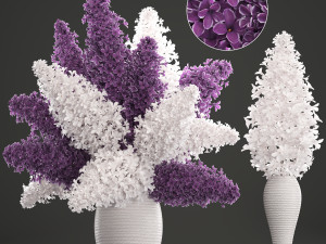 bouquet of lilac Modelo 3D