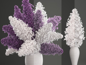 bouquet of lilac 3Dモデル