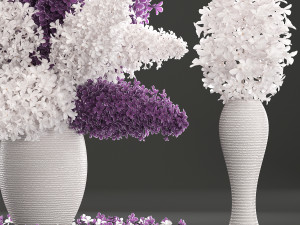 bouquet of lilac 3Dモデル