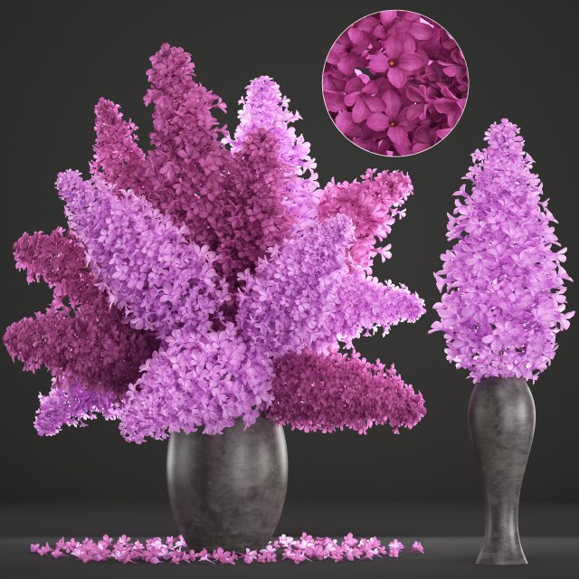 bouquet of lilac 2 3D Model .c4d .max .obj .3ds .fbx .stl .blend 