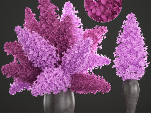 bouquet of lilac 2 3D Model