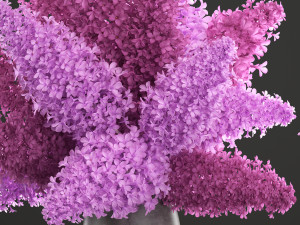 bouquet of lilac 2 3D Model
