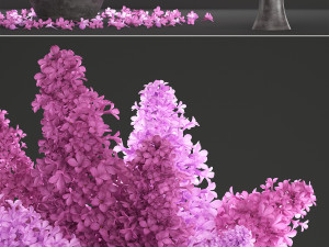 bouquet of lilac 2 3D Model
