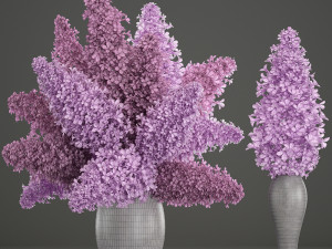 bouquet of lilac 2 3D Model