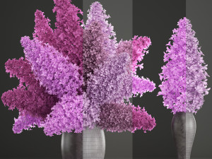 bouquet of lilac 2 3D Model
