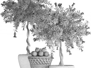 collection pomegranate tree with fruit 3D Model