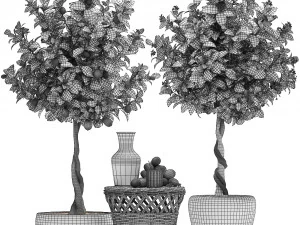 lemon tree with fruit 3D Model