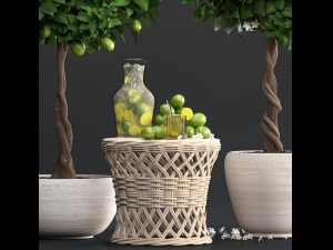 lemon tree with fruit Modèle 3D