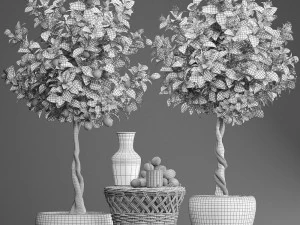 lemon tree with fruit 3D Model