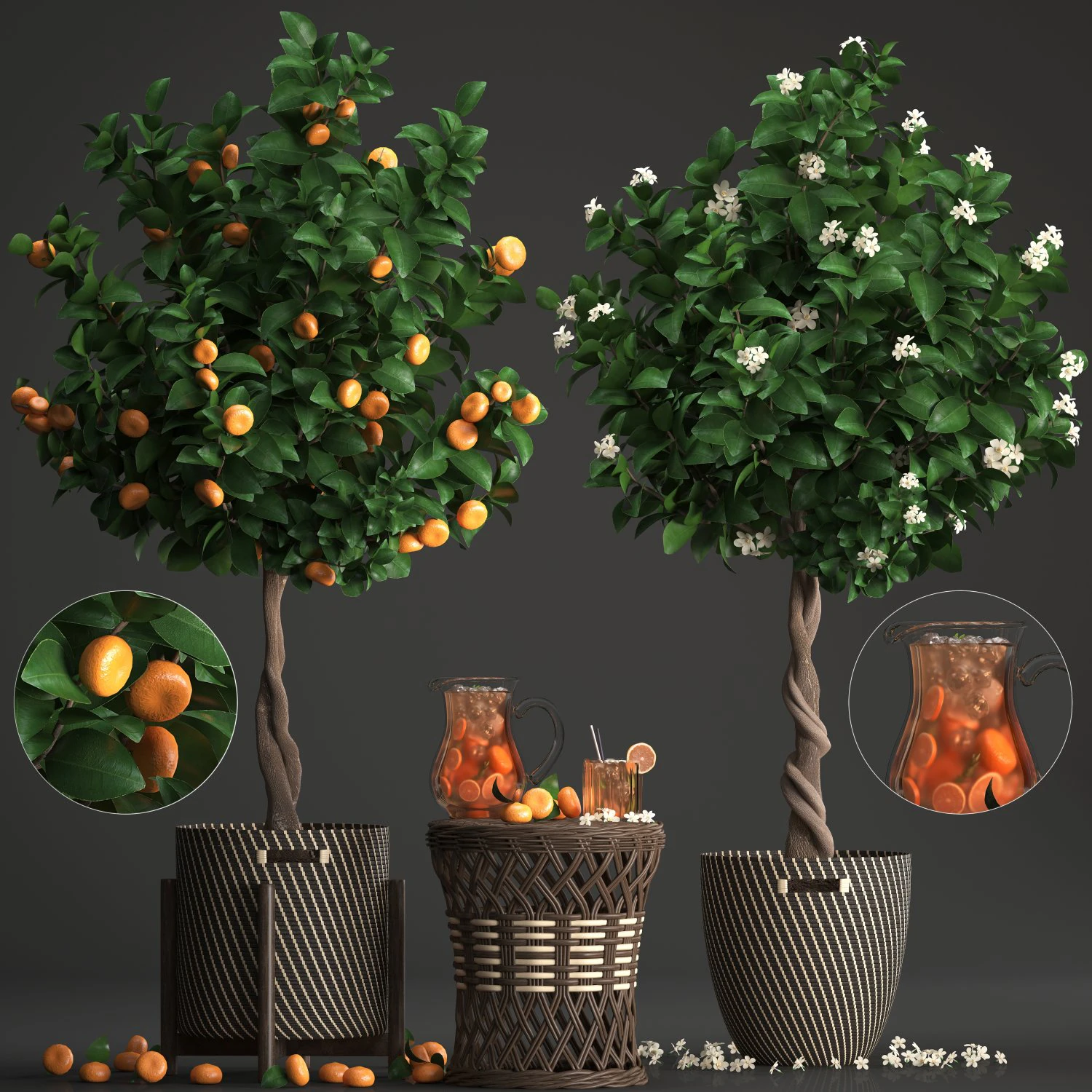 mandarin tree with fruit 3D Model .c4d .max .obj .3ds .fbx .stl .blend 