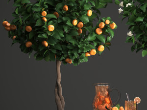 mandarin tree with fruit 3Dモデル