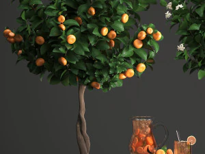 mandarin tree with fruit 3D Model