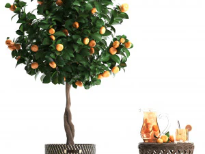 mandarin tree with fruit 3D Model