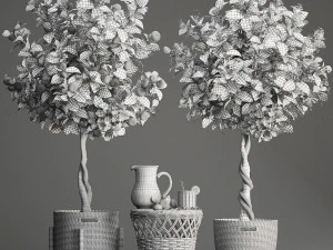 mandarin tree with fruit 3D Model