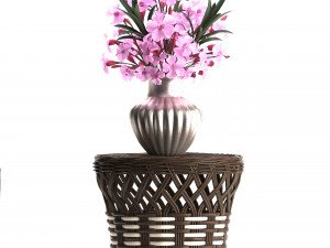 collection nerium oleander 3D Model