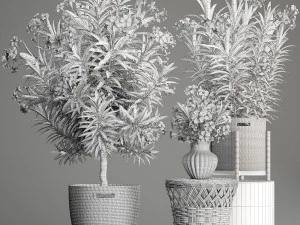 collection nerium oleander 3D Model