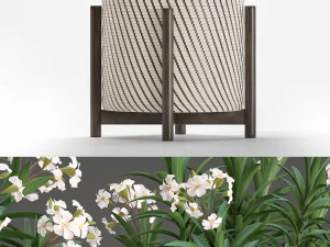 collection nerium oleander 2 3D Model