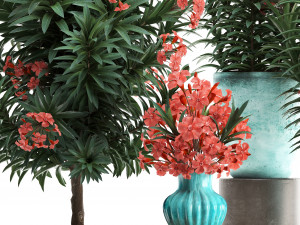 collection nerium oleander red Modelo 3D
