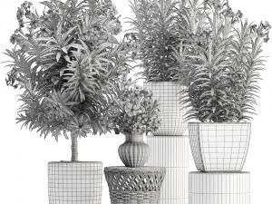 collection nerium oleander red Modelo 3D