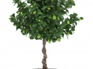 果物のあるレモンの木 2 3Dモデル