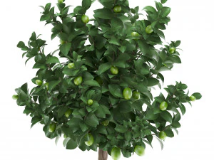 果物のあるレモンの木 2 3Dモデル