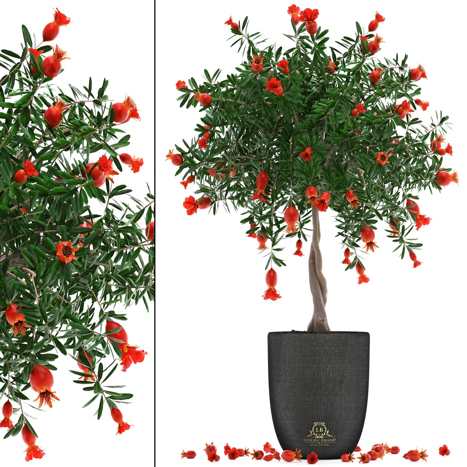 árvore de romã com frutas Modelo 3D .c4d .max .obj .3ds .fbx .stl .blend