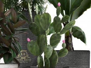 collection of exotic plants in pots 3D Модель
