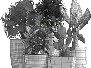 collection of exotic plants in pots 3D Модель