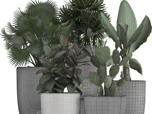 collection of exotic plants in pots 3D Модель