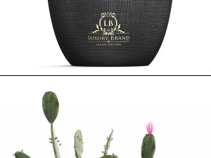collection of exotic plants in pots 3D Модель
