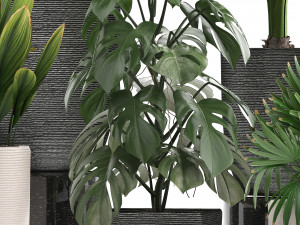 collection of exotic plants in pots 1 Model 3D