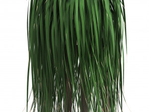 collection of exotic plants in pots 11 3Dモデル