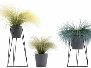 collection of ornamental grass plants tussock 3D-Modell
