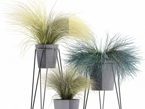 collection of ornamental grass plants tussock 3D-Modell