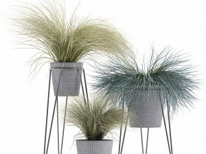 collection of ornamental grass plants tussock 3D-Modell